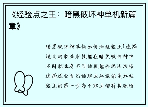 《经验点之王：暗黑破坏神单机新篇章》